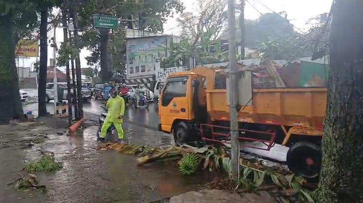 Hujan Deras di Lembang, Pohon Tumbang Depan Rumah Makan Darmaga Sunda Ganggu Lalu Lintas